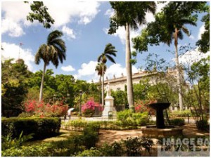 Plaza-Des-Armas-Havana-Cuba