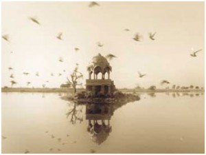 Suresh-Photo-Studio-Jaisalmer-India